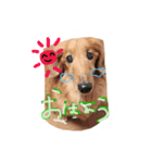 ろちゃん（個別スタンプ：5）