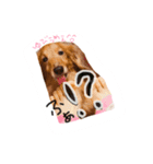 ろちゃん（個別スタンプ：6）