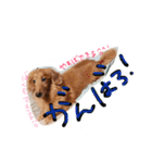 ろちゃん（個別スタンプ：8）