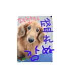 ろちゃん（個別スタンプ：9）