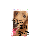 ろちゃん（個別スタンプ：13）