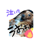 ろちゃん（個別スタンプ：14）