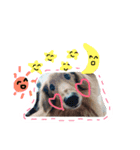 ろちゃん（個別スタンプ：15）