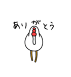 こけっころん（個別スタンプ：10）