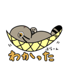 マヌルぬっこ その2（個別スタンプ：5）