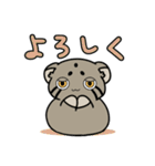 マヌルぬっこ その2（個別スタンプ：6）
