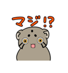 マヌルぬっこ その2（個別スタンプ：11）