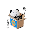 あみぐるみのネガパン（個別スタンプ：40）