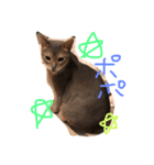 はぎわら家のねこたち（個別スタンプ：2）