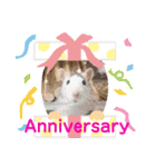 チップ＆ティニー＆ティノ♡（個別スタンプ：4）