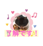 チップ＆ティニー＆ティノ♡（個別スタンプ：12）