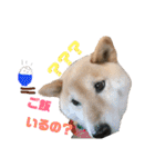 おはぎくん日常Ver.（個別スタンプ：9）