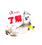 おはぎくん日常Ver.（個別スタンプ：10）