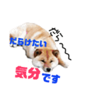 おはぎくん日常Ver.（個別スタンプ：22）