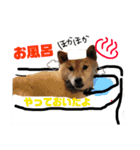 おはぎくん日常Ver.（個別スタンプ：24）