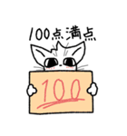 いろいろと褒めまくる猫（個別スタンプ：25）