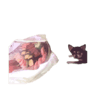 くゥちゃんスタンプ（個別スタンプ：11）