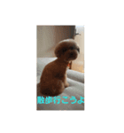さらちゃんw（個別スタンプ：7）