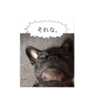 ジェシーちゃんスタンプ2（個別スタンプ：14）
