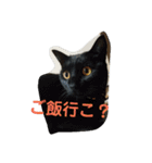 とらくろの日常（個別スタンプ：10）