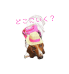 バセットハウンド・シェリーちゃん その2（個別スタンプ：6）