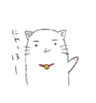 まゆ毛ネコ うめ（個別スタンプ：1）
