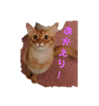 ZOO 2018-4Q（個別スタンプ：1）