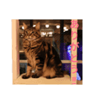 ZOO 2018-4Q（個別スタンプ：4）