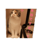 ZOO 2018-4Q（個別スタンプ：6）