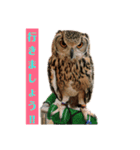 ZOO 2018-4Q（個別スタンプ：14）
