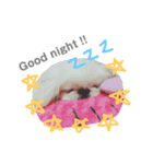 保護っ子ファミリー①（個別スタンプ：1）