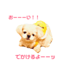 保護っ子ファミリー①（個別スタンプ：2）