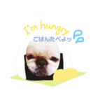 保護っ子ファミリー①（個別スタンプ：3）