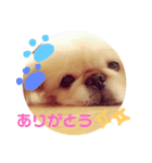 保護っ子ファミリー①（個別スタンプ：4）
