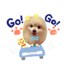 保護っ子ファミリー①（個別スタンプ：8）