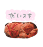 ねねね(yhstamp)（個別スタンプ：24）
