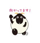 Let's Go！ シープ（個別スタンプ：28）