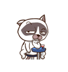 ハッピーキャッツ・Keyi（個別スタンプ：13）