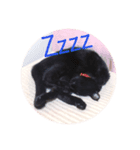 黒猫ミー（個別スタンプ：5）