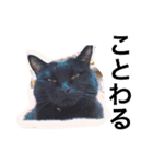 黒猫ミー（個別スタンプ：7）
