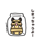 ダジャレハムスター〜三匹いるよ〜（個別スタンプ：12）