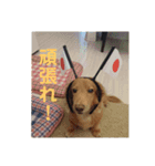 チョパソラ（個別スタンプ：4）