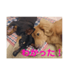 チョパソラ（個別スタンプ：7）