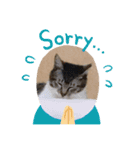 Englishも話せるにゃん（個別スタンプ：15）