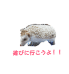 My、リトルファム達の日常Ⅱ（個別スタンプ：8）