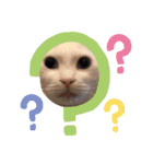GENGEN ゆるゆるすたんぷ①（個別スタンプ：4）
