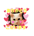 GENGEN ゆるゆるすたんぷ①（個別スタンプ：5）