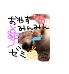 わん だふる（個別スタンプ：2）