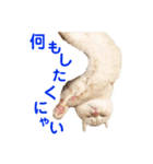 諭吉と佐助のすたんぷ（個別スタンプ：2）