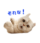 諭吉と佐助のすたんぷ（個別スタンプ：3）